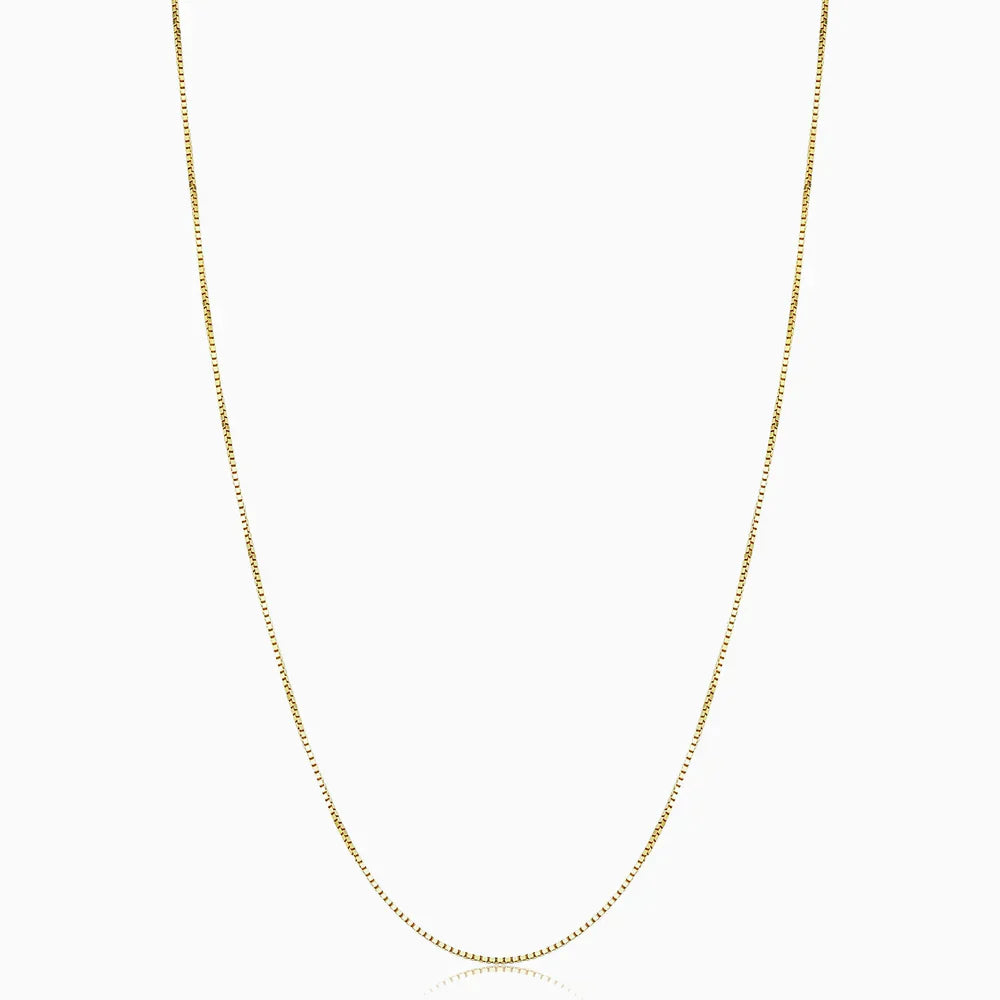 Delicate Gold Color Box Chain Necklace
