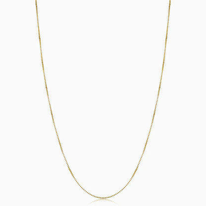 Delicate Gold Color Box Chain Necklace
